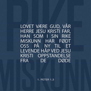 1 Peter 1:3 NB