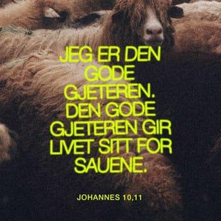 Johannes 10:11 - Jeg er den gode hyrde. Den gode hyrde gir sitt liv for sauene.