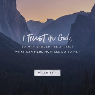 Psalms 56:3-9 - When I am afraid, I put my trust in you.
In God, whose word I praise—
in God I trust and am not afraid.
What can mere mortals do to me?

All day long they twist my words;
all their schemes are for my ruin.
They conspire, they lurk,
they watch my steps,
hoping to take my life.
Because of their wickedness do not let them escape;
in your anger, God, bring the nations down.

Record my misery;
list my tears on your scroll—
are they not in your record?
Then my enemies will turn back
when I call for help.
By this I will know that God is for me.