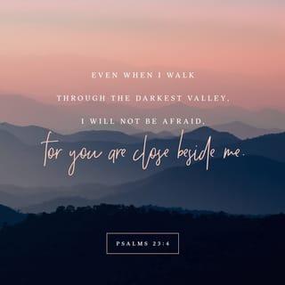 Psalms 23:4 - Even if I walk through a very dark valley,
I will not be afraid,
because you are with me.
Your rod and your shepherd’s staff comfort me.