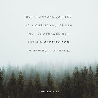 1 Peter 4:16 - But suppose you suffer for being a Christian. Then don’t be ashamed. Instead, praise God because you are known by the name of Christ.