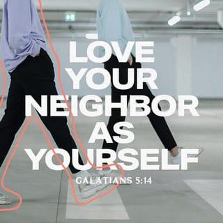 Galatians 5:14 - For the whole Law [concerning human relationships] is complied with in the one precept, You shall love your neighbor as [you do] yourself. [Lev. 19:18.]