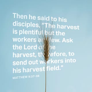 Mattityahu (Mat) 9:37-38 - Then he said to his talmidim, “The harvest is rich, but the workers are few. Pray that the Lord of the harvest will send out workers to gather in his harvest.”