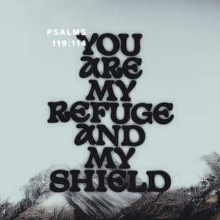 Psalms 119:114 - Thou art my hiding place and my shield:
I hope in thy word.
