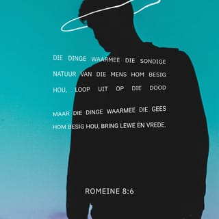 ROMEINE 8:6 AFR83
