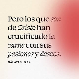 Gálatas 5:24 - Todos los que pertenecen a Cristo han crucificado su naturaleza carnal con sus pasiones y sentimientos egoístas.