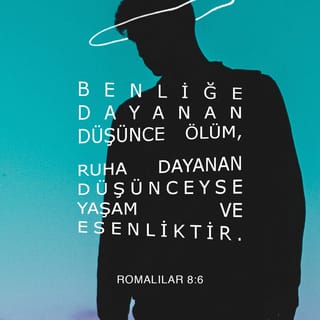 ROMALILAR 8:6 TCL02