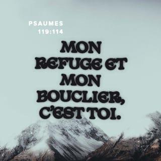 Psaumes 119:114 - Tu es mon refuge et mon bouclier,
je fais confiance à ta parole.