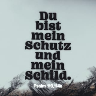 Psalm 119:114 - Mein Bergungsort und mein Schild bist du; auf dein Wort harre ich.