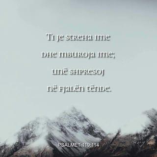 Psalmet 119:114 ALBB