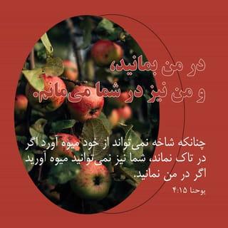 یوحنا 4:15 - در من بمانید، و من نیز در شما می‌مانم. چنانکه شاخه نمی‌تواند از خود میوه آورد اگر در تاک نماند، شما نیز نمی‌توانید میوه آورید اگر در من نمانید.