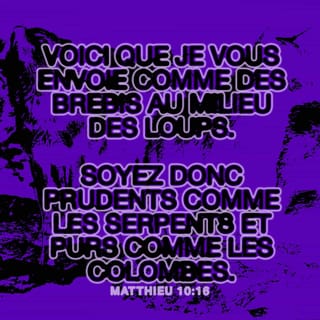 Matthieu 10:16 PDV2017