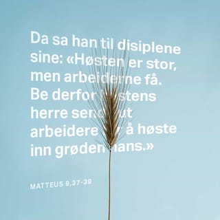 Matteus 9:37-38 - Da sa han til sine disipler: Høsten er stor, men arbeiderne få; bed derfor høstens herre at han vil drive arbeidere ut til sin høst!