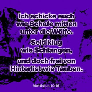 Matthäus 10:16 - Siehe, ich sende euch wie Schafe mitten unter die Wölfe; darum seid klug wie die Schlangen und ohne Falsch wie die Tauben.