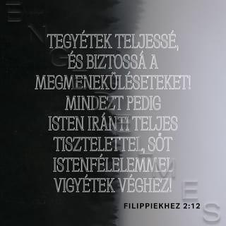 Filippi 2:12 HUNK