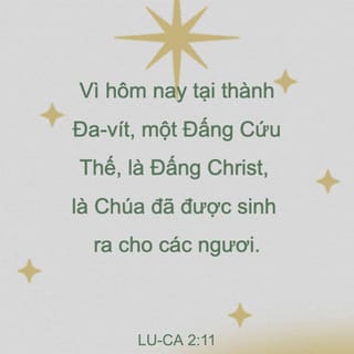 Lu-ca 2:11 - Hôm nay Đấng Cứu Thế đã được sinh ra trong thành Đa-vít. Ngài là Cứu Chúa.