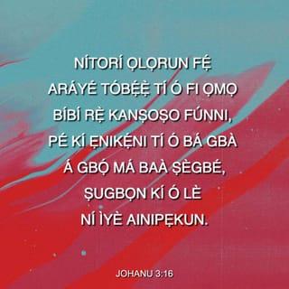 Joh 3:16 YBCV