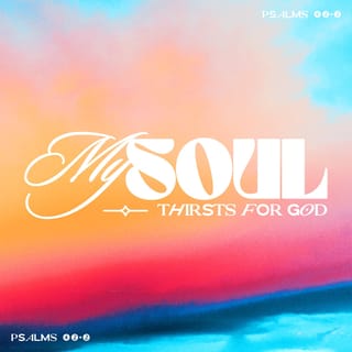 Psalms 42:2-3 - My soul thirsts for God, for the living God.
When can I go and meet with God?
My tears have been my food
day and night,
while people say to me all day long,
“Where is your God?”