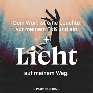 Psalmen 119:105 - Dein Wort leuchtet mir dort, wo ich gehe;
es ist ein Licht auf meinem Weg.