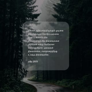 எரேமியா 29:11-13 TAOVBSI