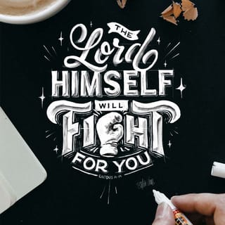 Exodus 14:14 - The LORD shall fight for you, and ye shall hold your peace.