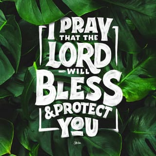 Numbers 6:24-26 - ‘The LORD bless you, and keep you.
The LORD make his face to shine on you,
and be gracious to you.
The LORD lift up his face towards you,
and give you peace.’