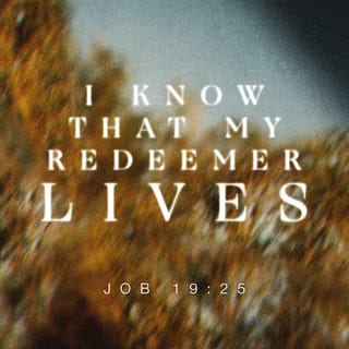 Job 19:25 - For I know that my Redeemer and Vindicator lives, and at last He [the Last One] will stand upon the earth. [Isa. 44:6; 48:12.]