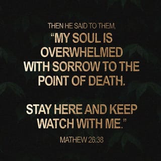 Matthew 26:38 - Then He said to them, “My soul is deeply grieved, so that I am almost dying of sorrow. Stay here and stay awake and keep watch with Me.”