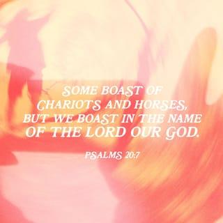 Psalms 20:7-9 - Some trust in chariots and some in horses,
but we trust in the name of the LORD our God.
They are brought to their knees and fall,
but we rise up and stand firm.
LORD, give victory to the king!
Answer us when we call!