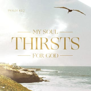 Psalm 42:2-3 - My soul thirsts for God,
for the living God.
When shall I come and appear before God?
My tears have been my food
day and night,
while they say to me all the day long,
“Where is your God?”