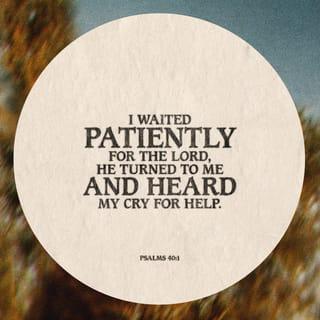 Psalms 40:1 - I waited patiently for the LORD to help me,
and he turned to me and heard my cry.