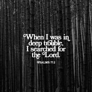 Psalms 77:2 - In the day of my trouble I sought the Lord.
My hand was stretched out in the night, and didn’t get tired.
My soul refused to be comforted.