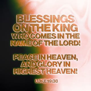 Luke 19:38 - Crying, Blessed (celebrated with praises) is the King Who comes in the name of the Lord! Peace in heaven [freedom there from all the distresses that are experienced as the result of sin] and glory (majesty and splendor) in the highest [heaven]! [Ps. 118:26.]
