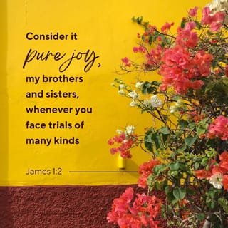 James 1:1-4 - James, a servant of God and of the Lord Jesus Christ,

To the twelve tribes scattered among the nations:

Greetings.

Consider it pure joy, my brothers and sisters, whenever you face trials of many kinds, because you know that the testing of your faith produces perseverance. Let perseverance finish its work so that you may be mature and complete, not lacking anything.