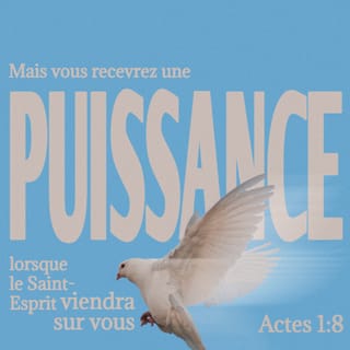 Actes 1:8 - Mais vous recevrez une puissance, le Saint-Esprit survenant sur vous, et vous serez mes témoins à Jérusalem, dans toute la Judée, dans la Samarie, et jusqu'aux extrémités de la terre.