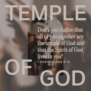 1 Corinthians 3:16 - You should know that you yourselves are God’s temple. God’s Spirit lives in you.