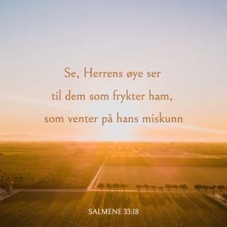 Salmene 33:18 NB