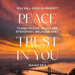 Isaiah 26:3-13 - You will keep in perfect peace
those whose minds are steadfast,
because they trust in you.
Trust in the LORD forever,
for the LORD, the LORD himself, is the Rock eternal.
He humbles those who dwell on high,
he lays the lofty city low;
he levels it to the ground
and casts it down to the dust.
Feet trample it down—
the feet of the oppressed,
the footsteps of the poor.

The path of the righteous is level;
you, the Upright One, make the way of the righteous smooth.
Yes, LORD, walking in the way of your laws,
we wait for you;
your name and renown
are the desire of our hearts.
My soul yearns for you in the night;
in the morning my spirit longs for you.
When your judgments come upon the earth,
the people of the world learn righteousness.
But when grace is shown to the wicked,
they do not learn righteousness;
even in a land of uprightness they go on doing evil
and do not regard the majesty of the LORD.
LORD, your hand is lifted high,
but they do not see it.
Let them see your zeal for your people and be put to shame;
let the fire reserved for your enemies consume them.

LORD, you establish peace for us;
all that we have accomplished you have done for us.
LORD our God, other lords besides you have ruled over us,
but your name alone do we honor.