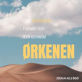 Jesaja 40:3 - Hør, det er en ¬som roper i ødemarken:
Rydd vei for Herren,
legg en kongsvei for vår Gud
rett igjennom ørkenen!
