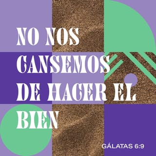 Gálatas 6:9 - Así que no nos cansemos de hacer el bien, porque si lo hacemos sin desmayar, a su debido tiempo recogeremos la cosecha.