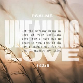 Psalms 143:8 - Cause me to hear thy lovingkindness in the morning;
For in thee do I trust:
Cause me to know the way wherein I should walk;
For I lift up my soul unto thee.