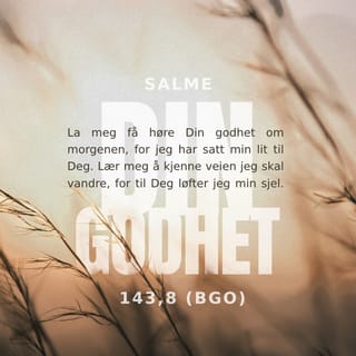 Salmene 143:8 NB