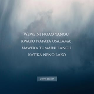 Zab 119:113-114 - Watu wa kusita-sita nawachukia,
Lakini sheria yako naipenda.
Ndiwe sitara yangu na ngao yangu,
Neno lako nimelingojea.
