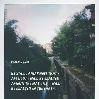 Psalms 46:10 - Be still, and know that I am God I will be exalted among the nations, I will be exalted in the earth.