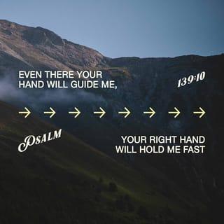 Psalms 139:10 - even there your hand would guide me;
even there your strong hand would hold me tight!