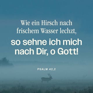 Psalm 42:1-2 - Wie ein Hirsch nach frischem Wasser lechzt,
so sehne ich mich nach dir, o Gott!