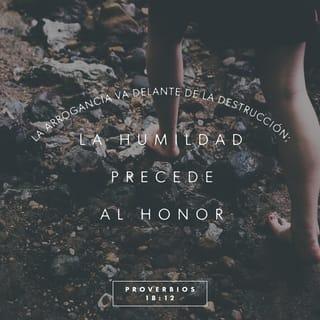 Proverbios 18:12 - Tras el orgullo viene la destrucción;
y tras la humildad, el honor.