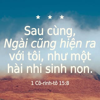 I Cô-rinh-tô 15:8 VIE1925