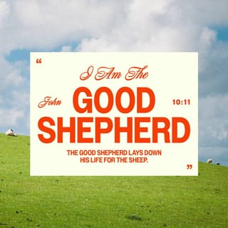 John 10:11 - “I am the good shepherd. The good shepherd gives his life for the sheep.
