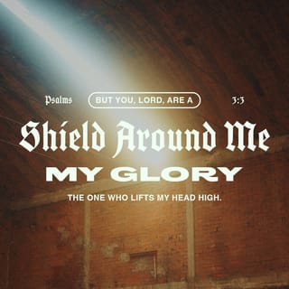 Psalms 3:3 - But you are my shield,
and you give me victory
and great honor.